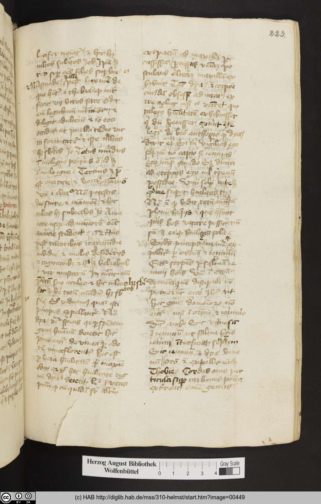 http://diglib.hab.de/mss/310-helmst/00449.jpg