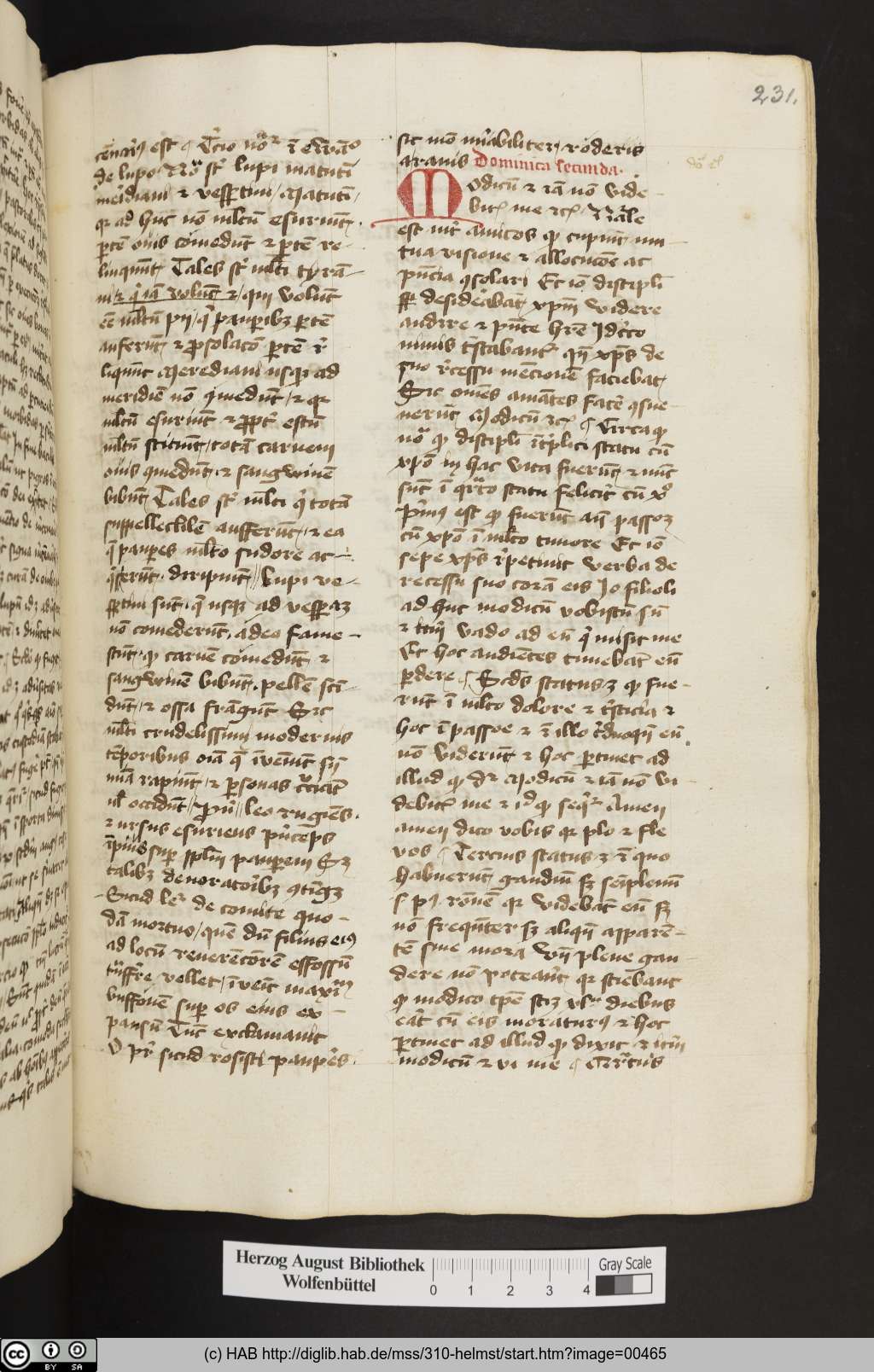 http://diglib.hab.de/mss/310-helmst/00465.jpg