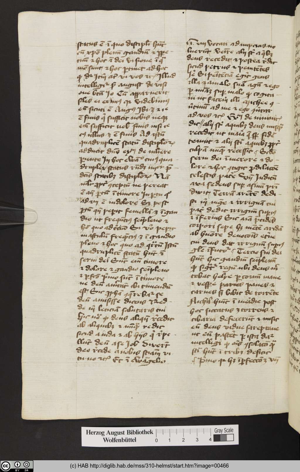 http://diglib.hab.de/mss/310-helmst/00466.jpg