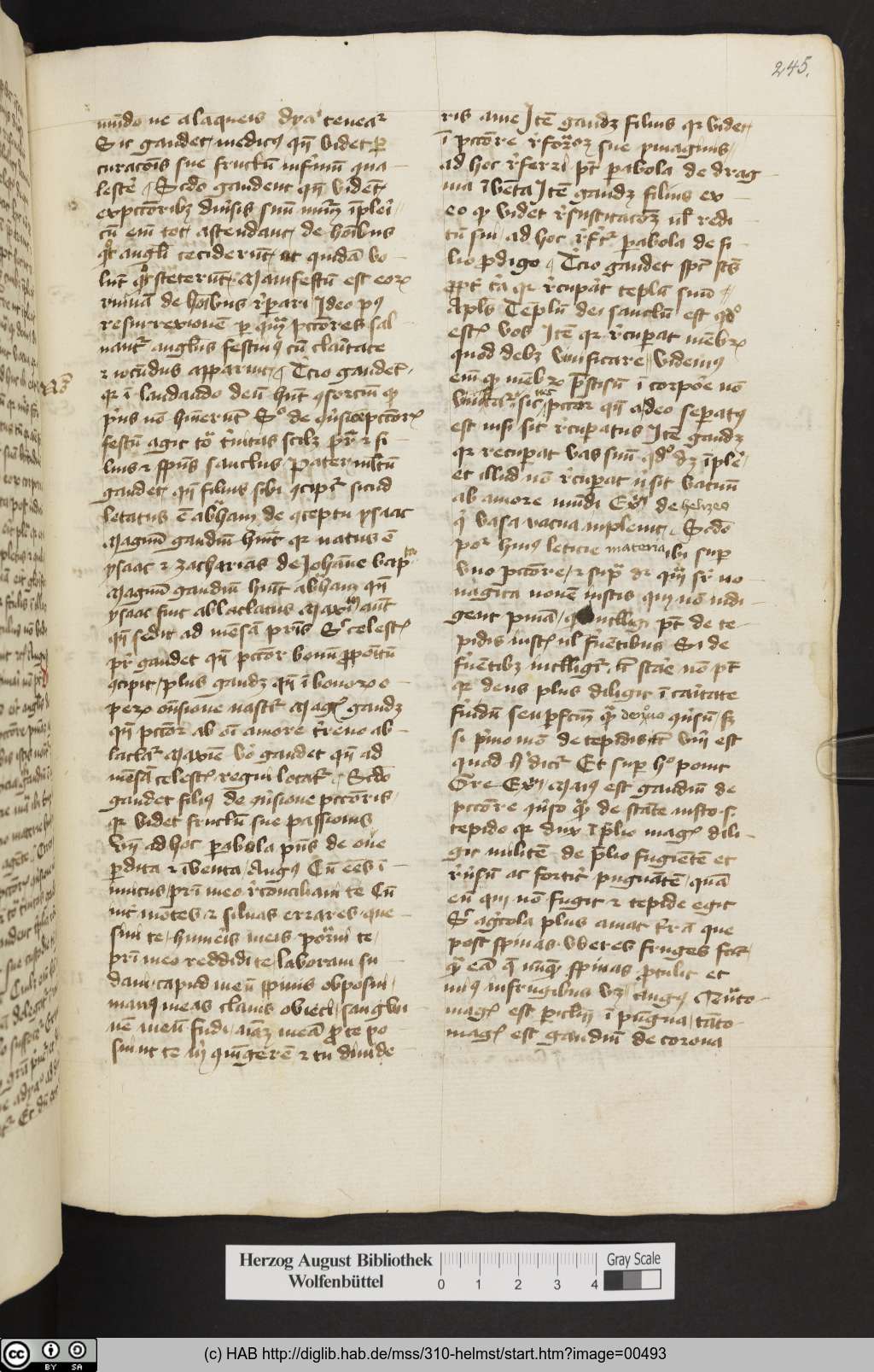 http://diglib.hab.de/mss/310-helmst/00493.jpg