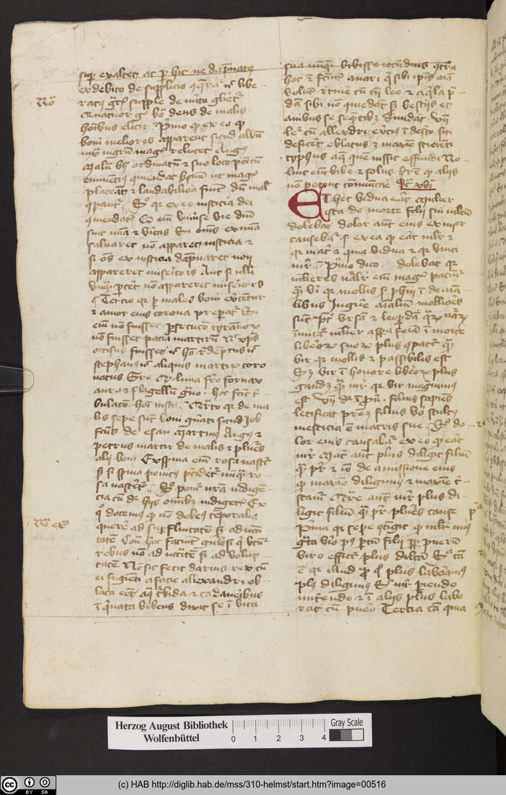 http://diglib.hab.de/mss/310-helmst/00516.jpg
