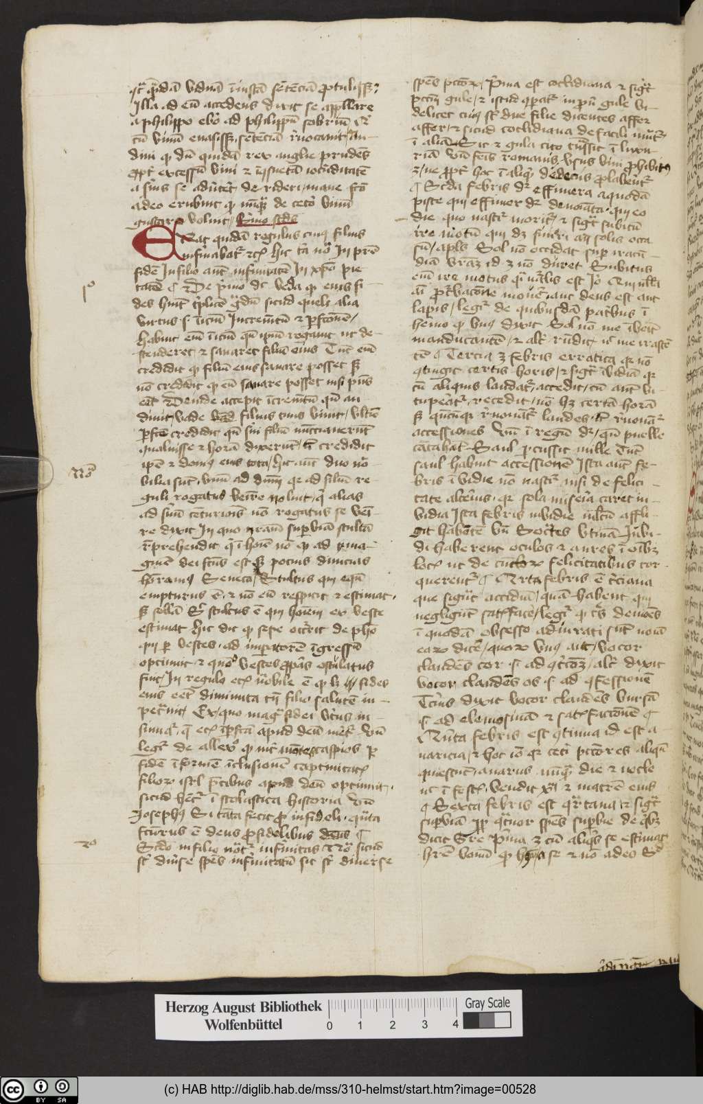 http://diglib.hab.de/mss/310-helmst/00528.jpg