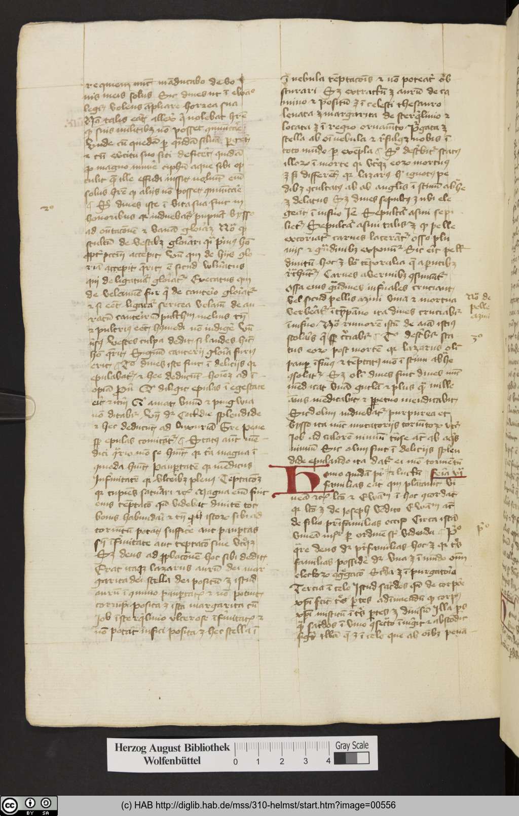http://diglib.hab.de/mss/310-helmst/00556.jpg