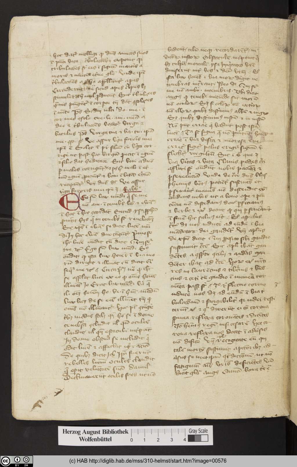 http://diglib.hab.de/mss/310-helmst/00576.jpg