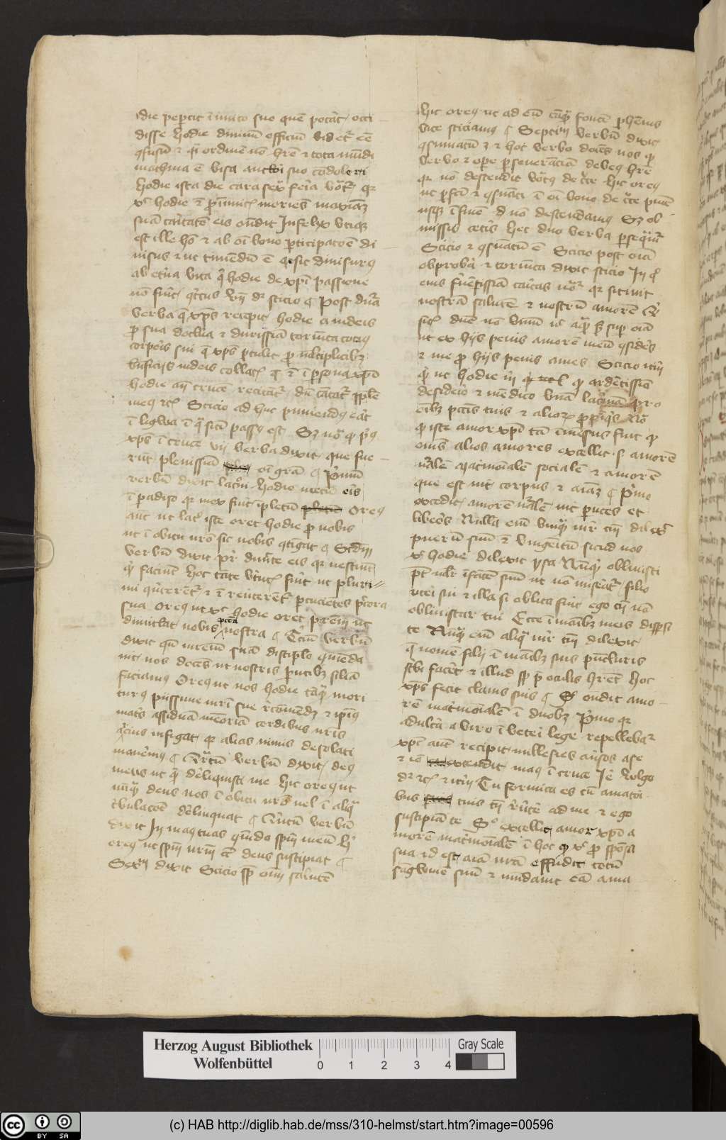 http://diglib.hab.de/mss/310-helmst/00596.jpg