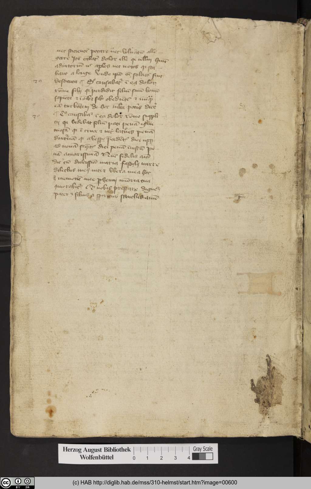 http://diglib.hab.de/mss/310-helmst/00600.jpg