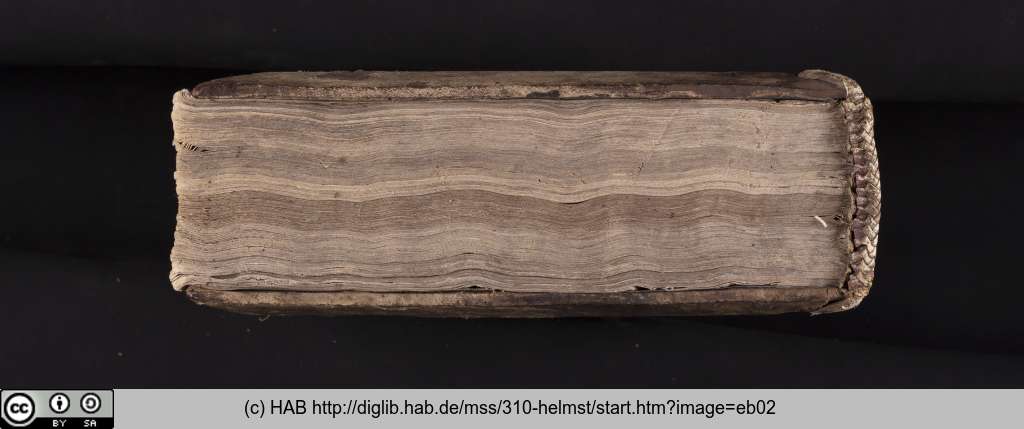 http://diglib.hab.de/mss/310-helmst/eb02.jpg