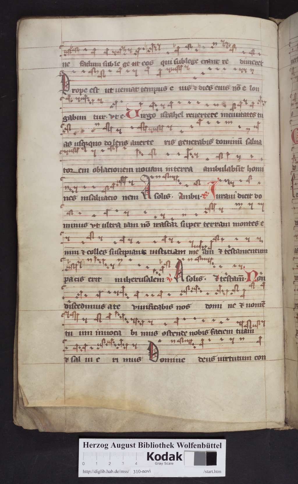 http://diglib.hab.de/mss/310-novi/00032.jpg