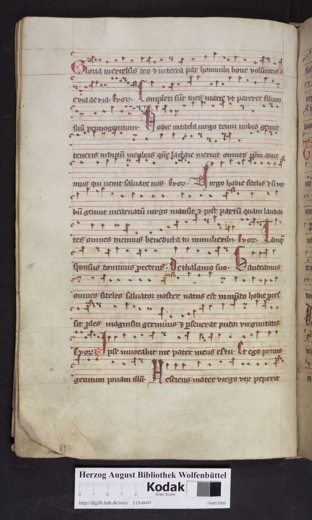 http://diglib.hab.de/mss/310-novi/00046.jpg
