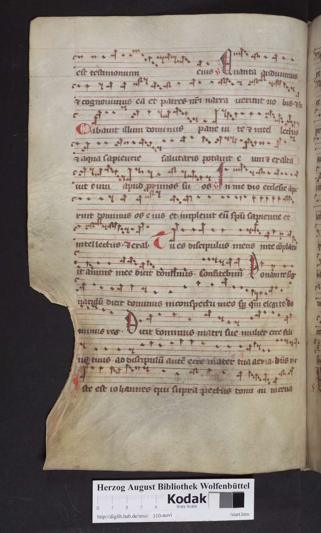 http://diglib.hab.de/mss/310-novi/00056.jpg