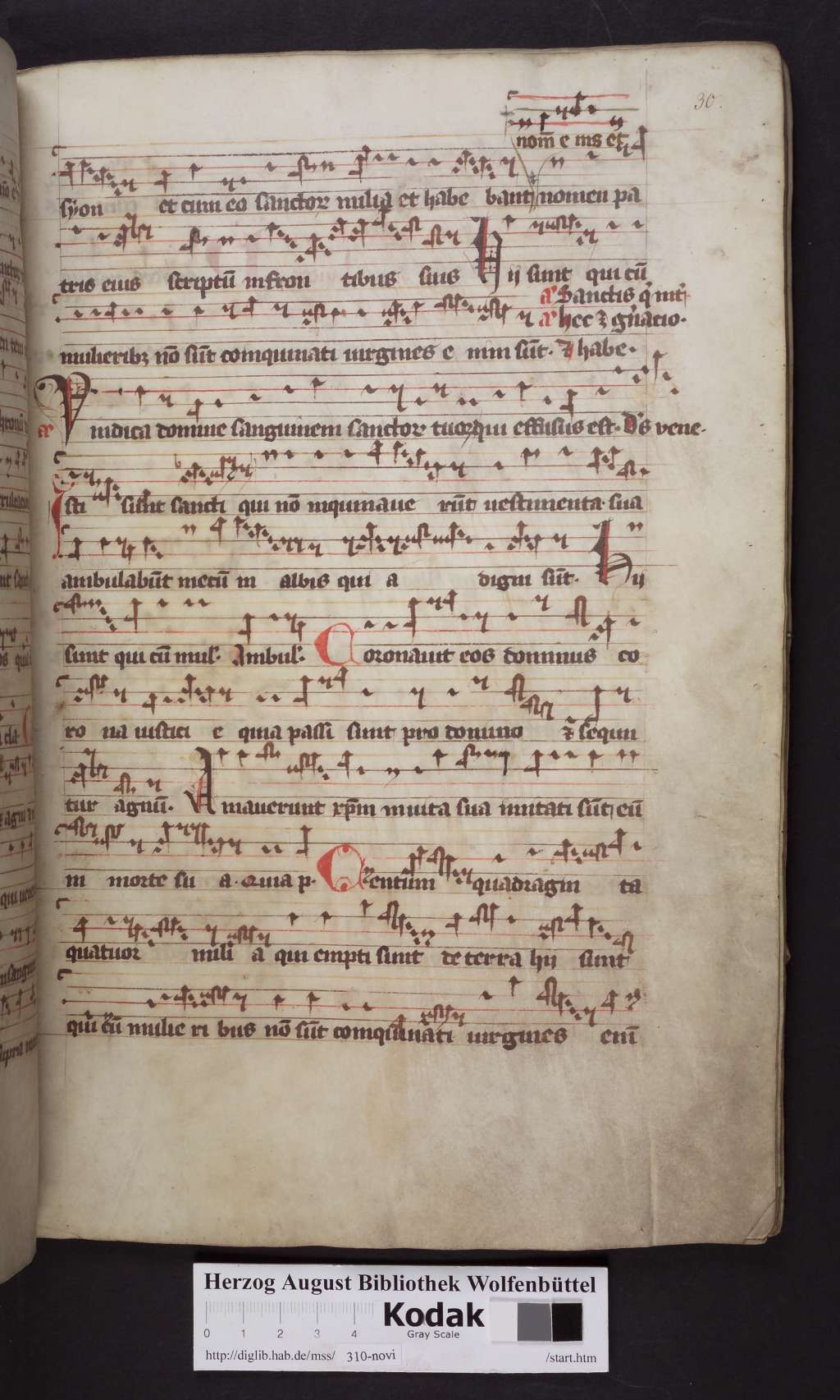 http://diglib.hab.de/mss/310-novi/00061.jpg