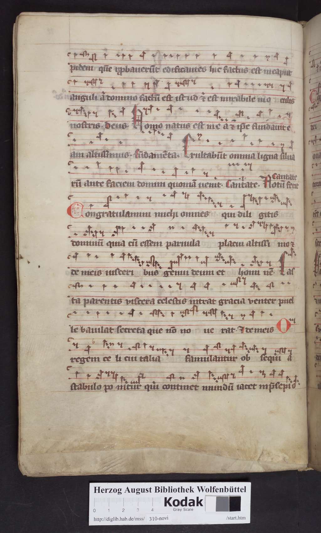 http://diglib.hab.de/mss/310-novi/00066.jpg