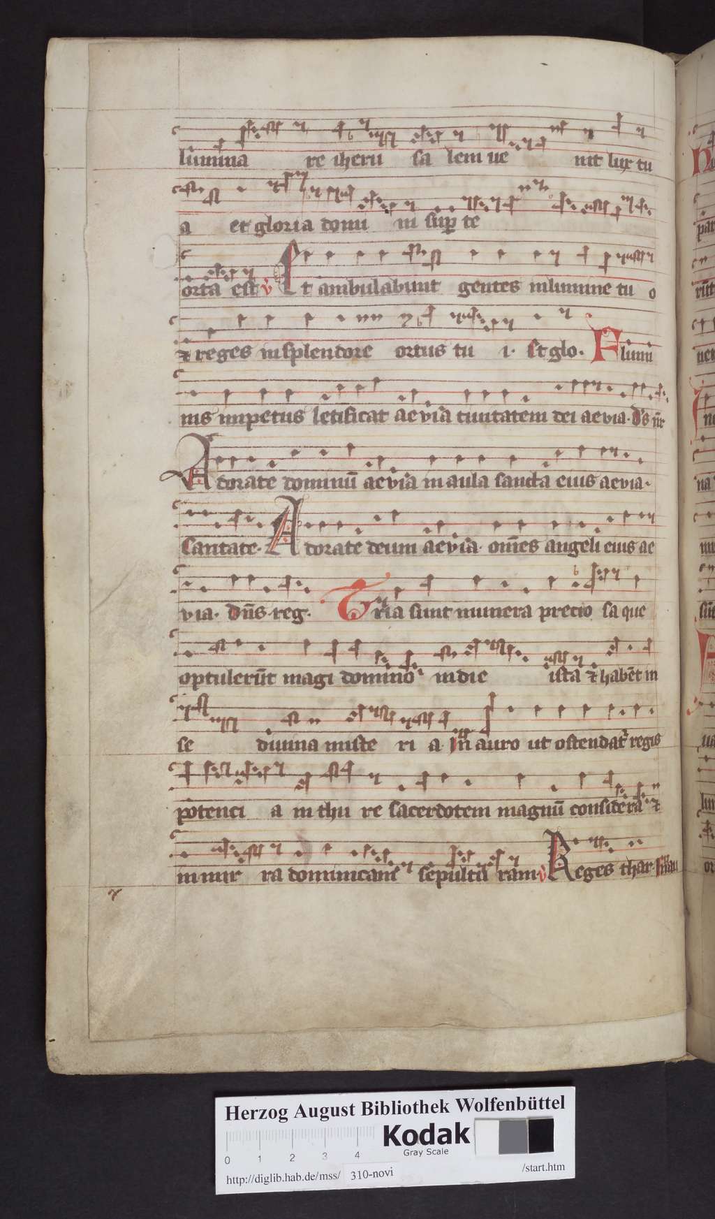 http://diglib.hab.de/mss/310-novi/00080.jpg