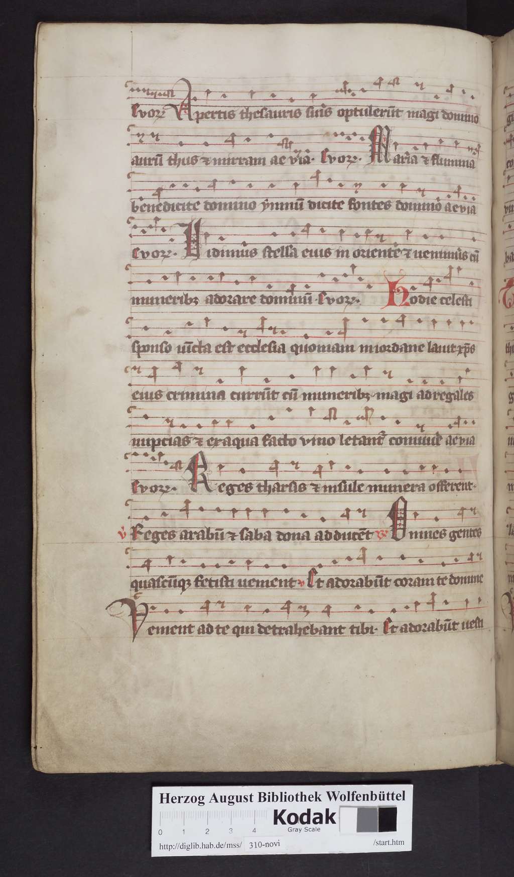 http://diglib.hab.de/mss/310-novi/00082.jpg