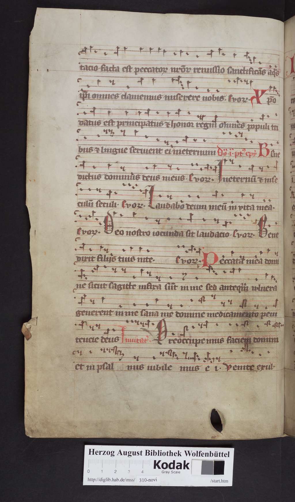 http://diglib.hab.de/mss/310-novi/00088.jpg