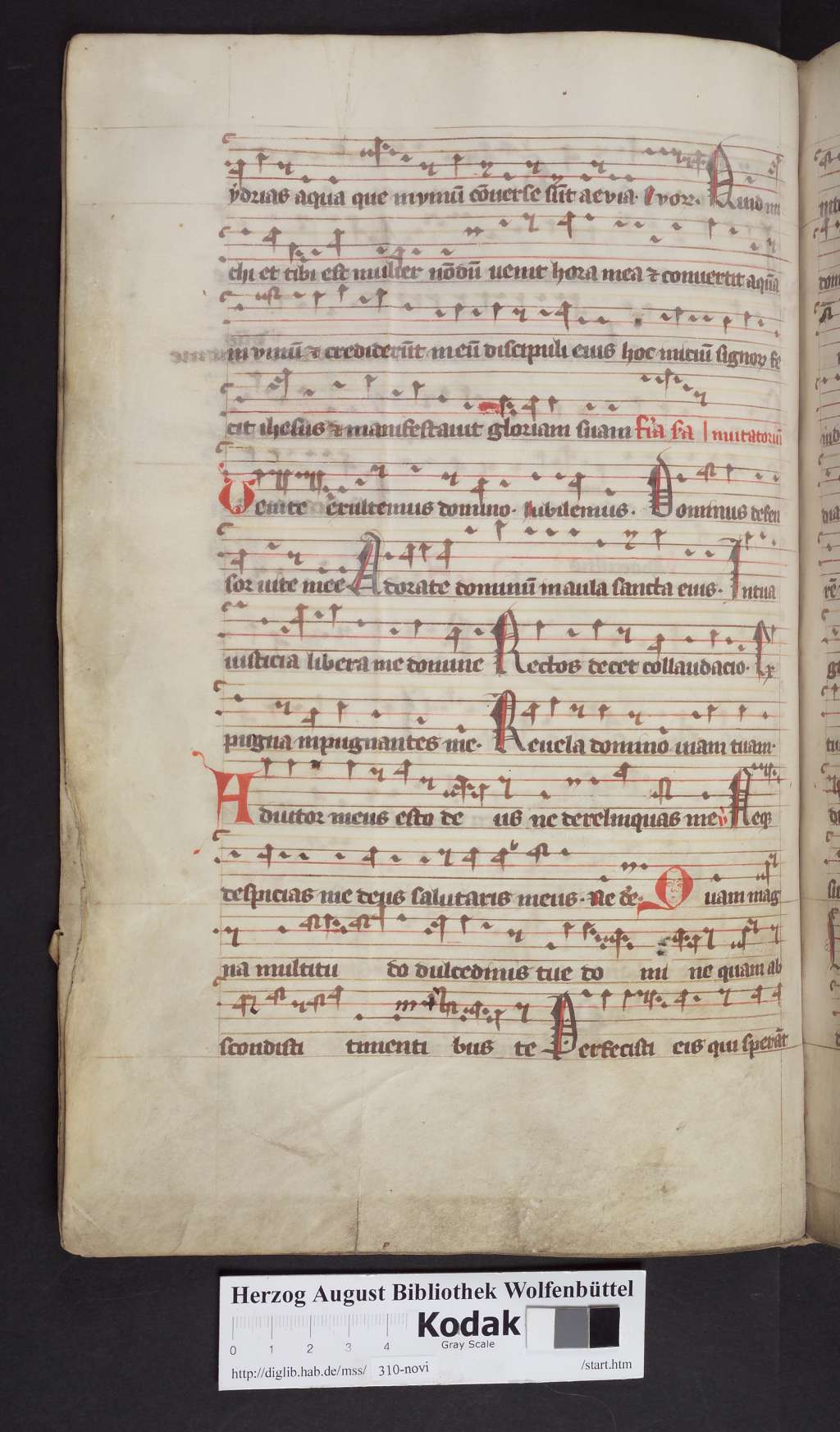 http://diglib.hab.de/mss/310-novi/00094.jpg
