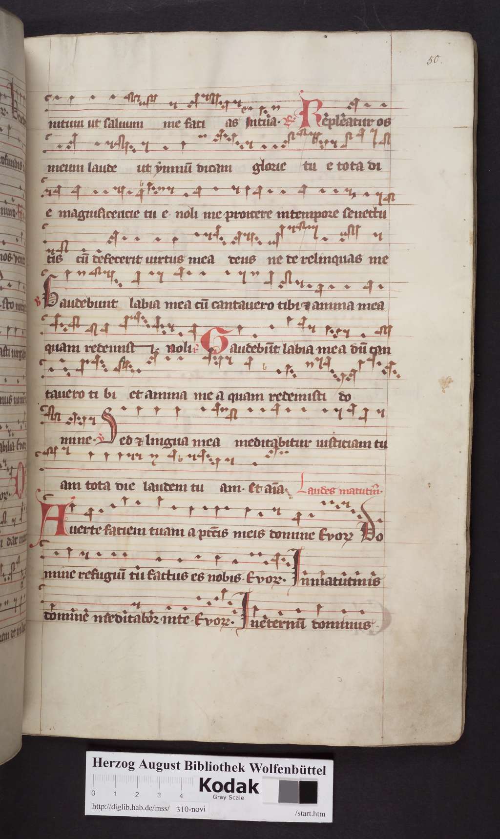 http://diglib.hab.de/mss/310-novi/00101.jpg