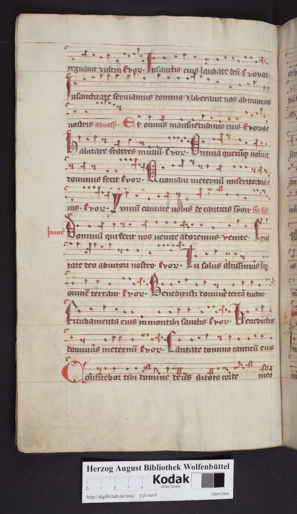 http://diglib.hab.de/mss/310-novi/00102.jpg