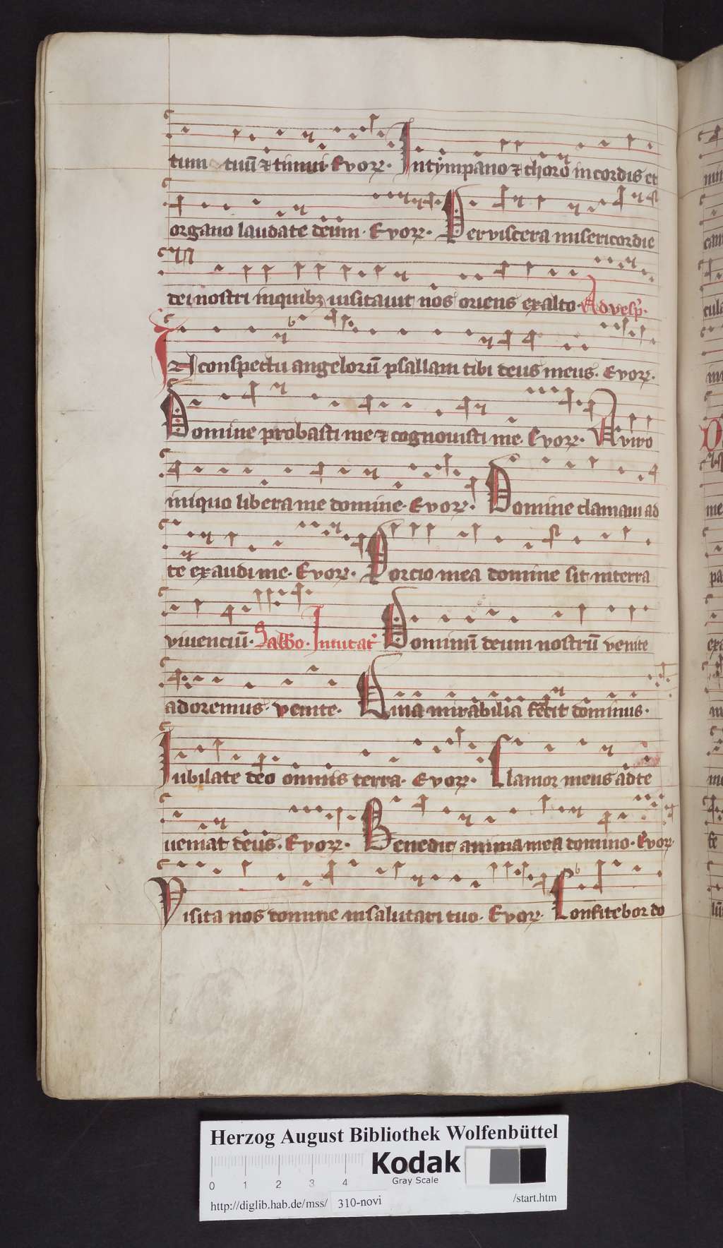 http://diglib.hab.de/mss/310-novi/00104.jpg