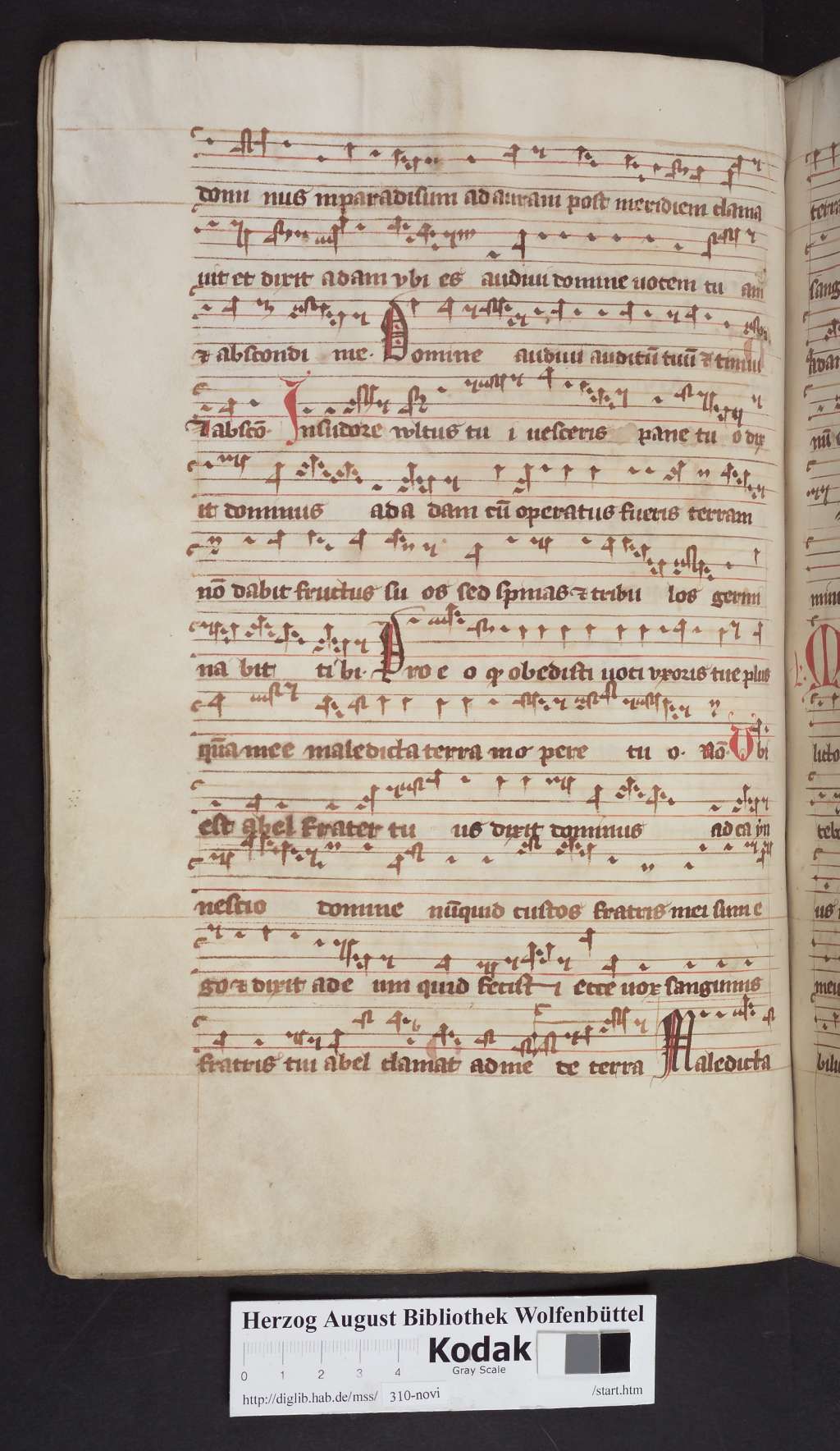 http://diglib.hab.de/mss/310-novi/00110.jpg