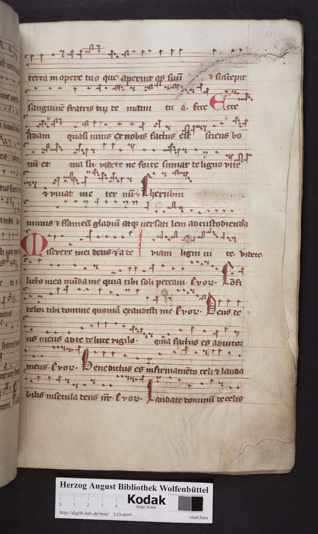 http://diglib.hab.de/mss/310-novi/00111.jpg