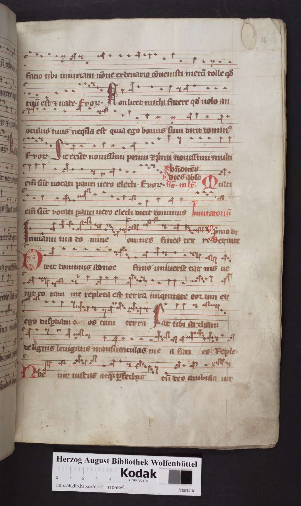 http://diglib.hab.de/mss/310-novi/00113.jpg