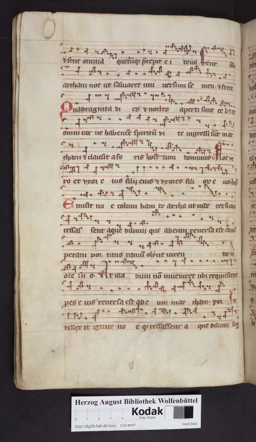 http://diglib.hab.de/mss/310-novi/00114.jpg