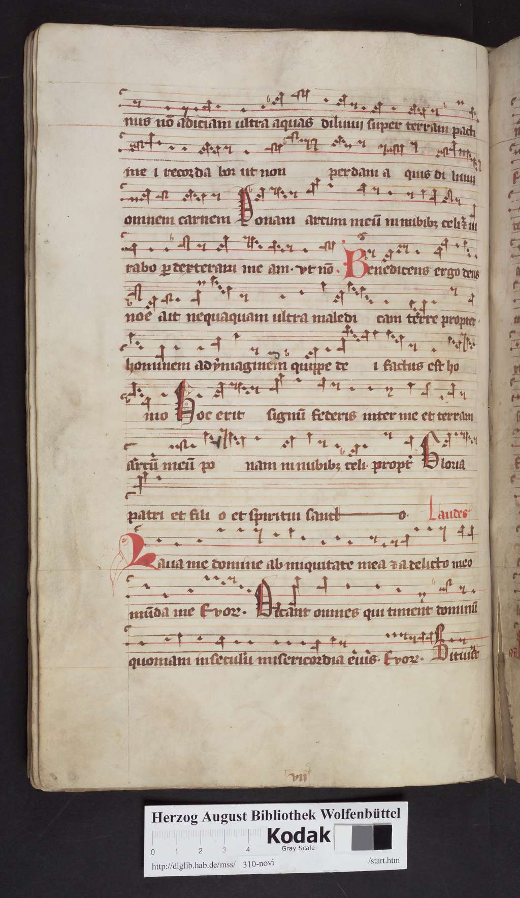 http://diglib.hab.de/mss/310-novi/00116.jpg