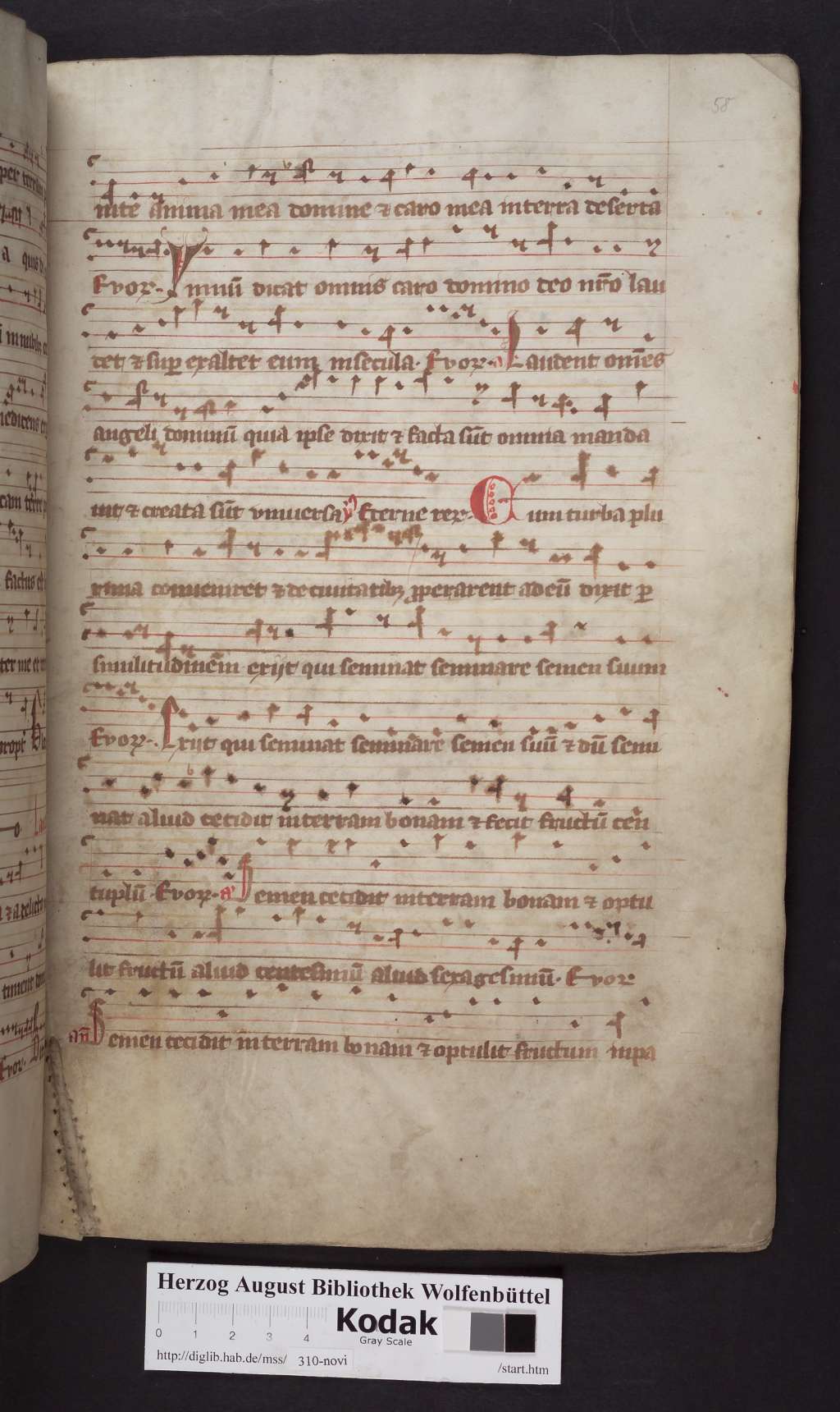 http://diglib.hab.de/mss/310-novi/00117.jpg