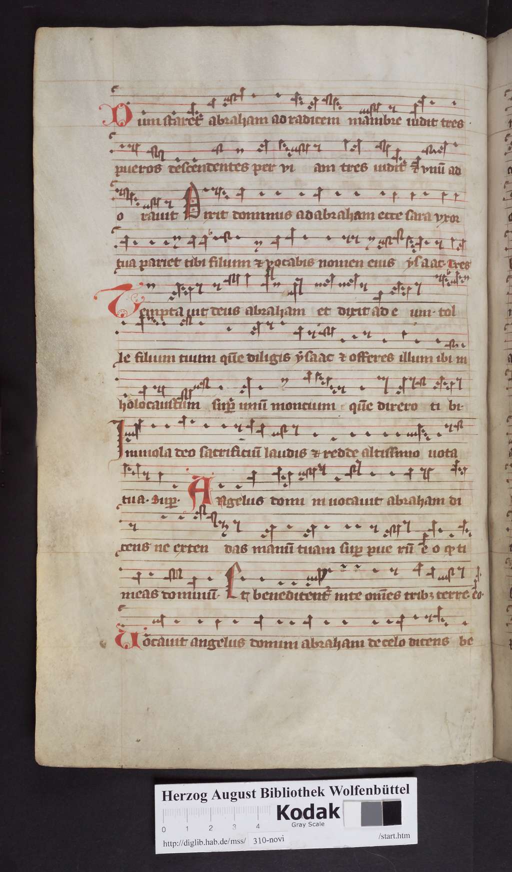 http://diglib.hab.de/mss/310-novi/00120.jpg