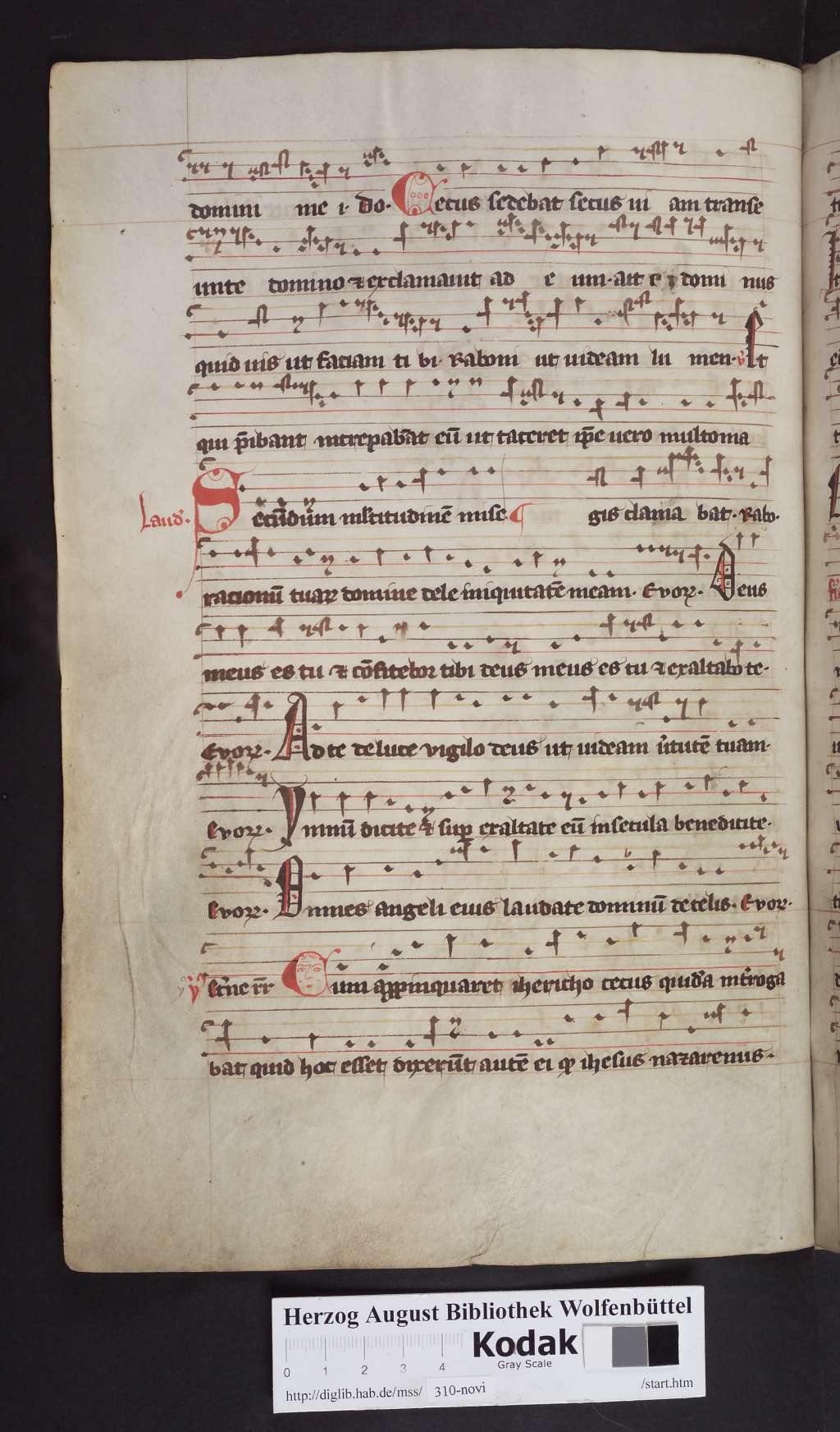 http://diglib.hab.de/mss/310-novi/00122.jpg