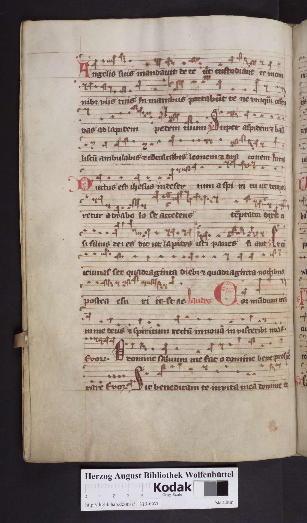 http://diglib.hab.de/mss/310-novi/00128.jpg