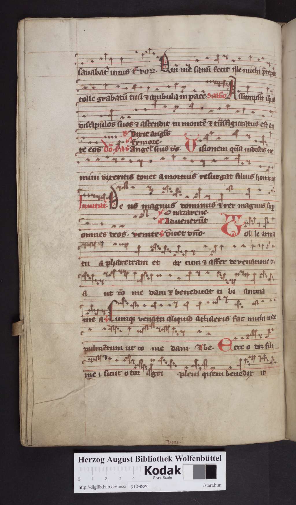http://diglib.hab.de/mss/310-novi/00132.jpg