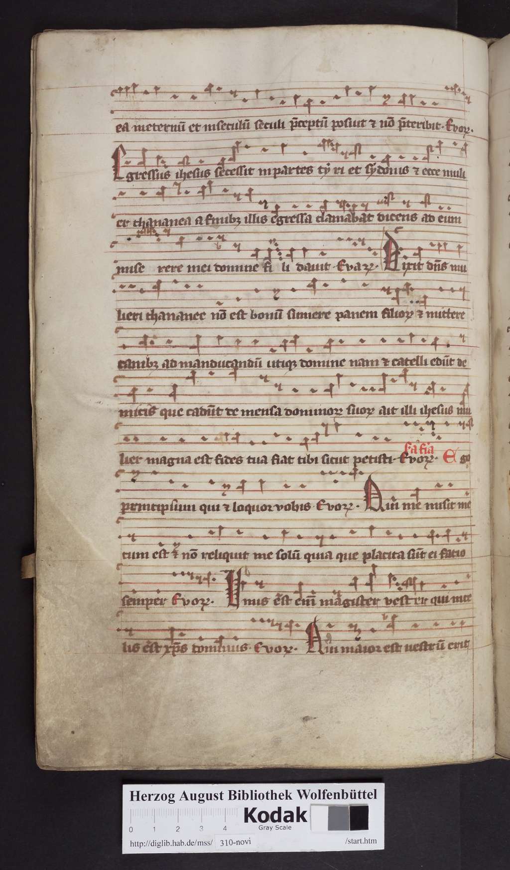 http://diglib.hab.de/mss/310-novi/00136.jpg