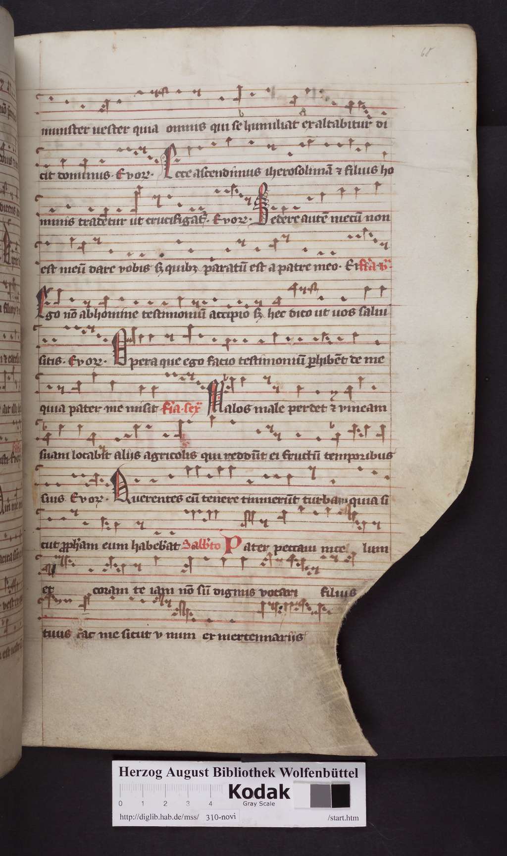 http://diglib.hab.de/mss/310-novi/00137.jpg