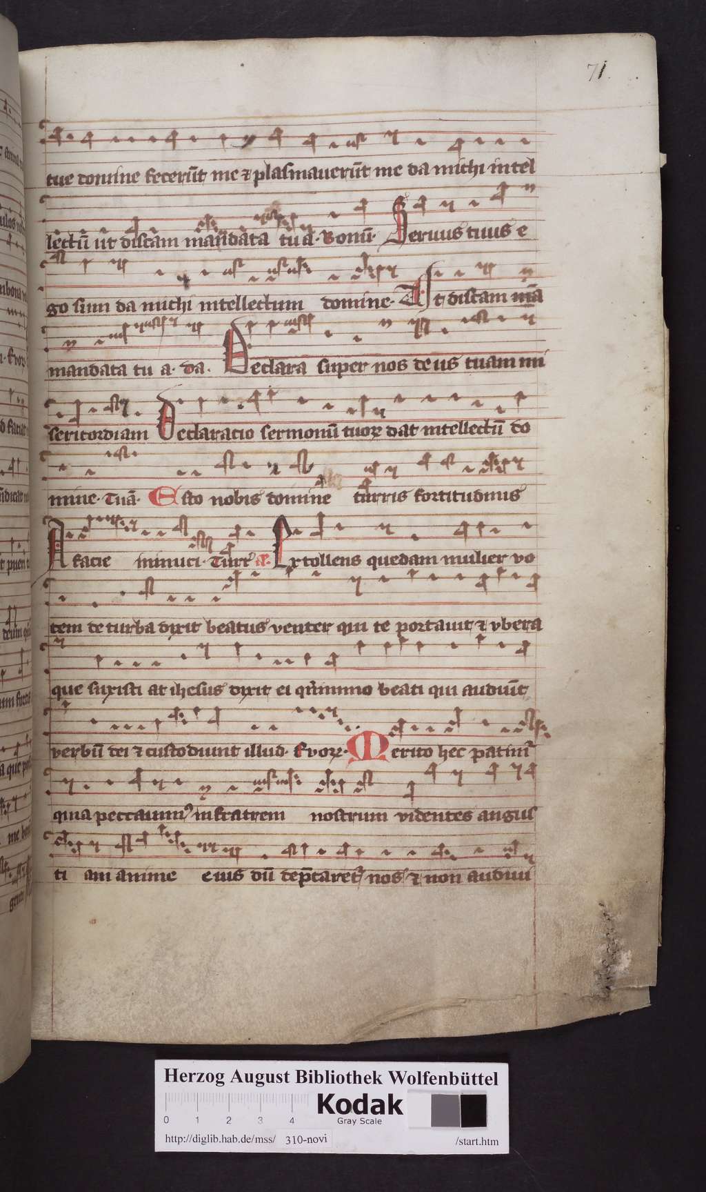 http://diglib.hab.de/mss/310-novi/00143.jpg