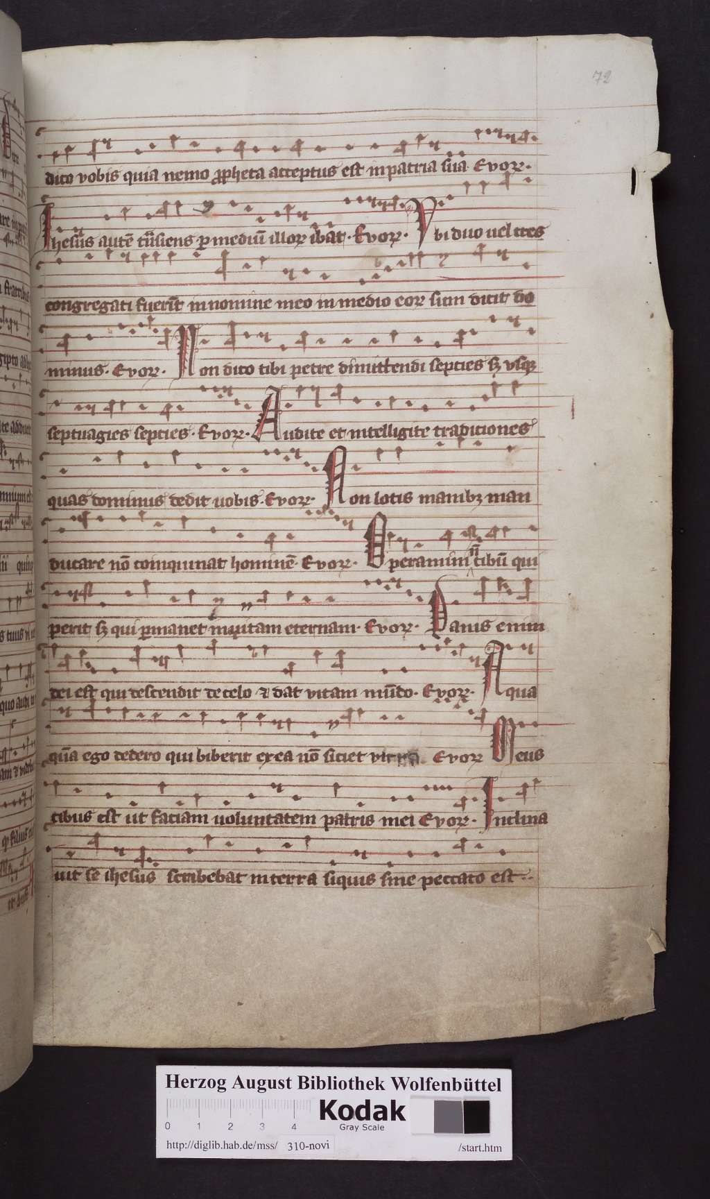 http://diglib.hab.de/mss/310-novi/00145.jpg