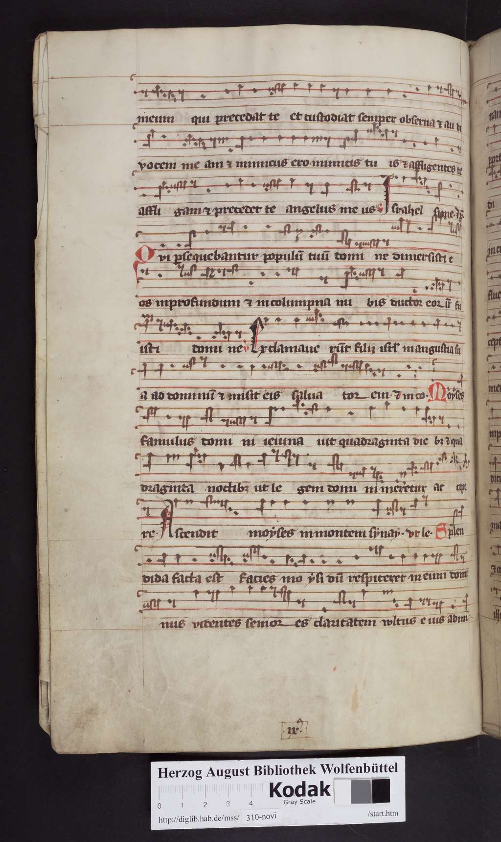 http://diglib.hab.de/mss/310-novi/00148.jpg