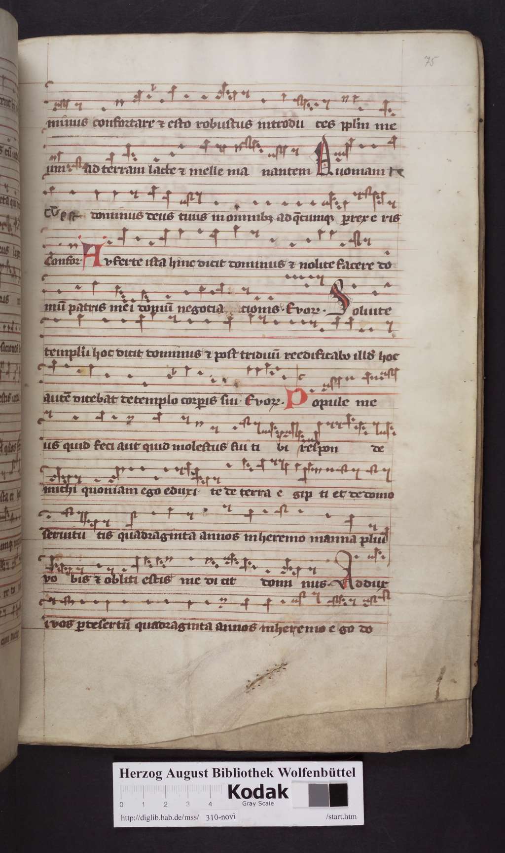 http://diglib.hab.de/mss/310-novi/00151.jpg