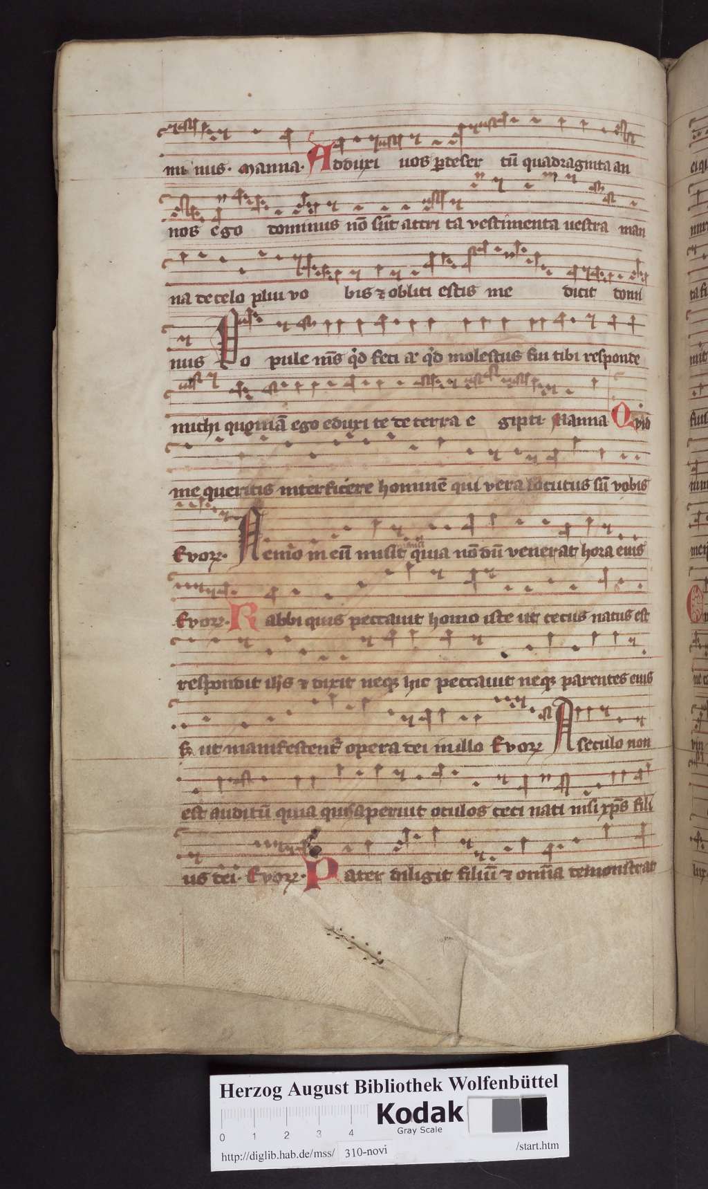 http://diglib.hab.de/mss/310-novi/00152.jpg