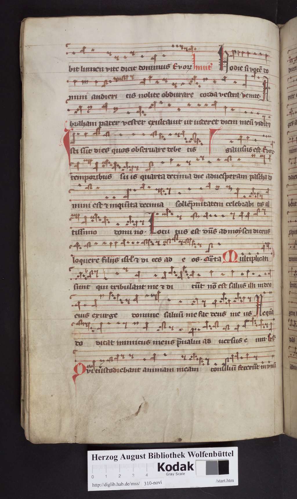 http://diglib.hab.de/mss/310-novi/00154.jpg