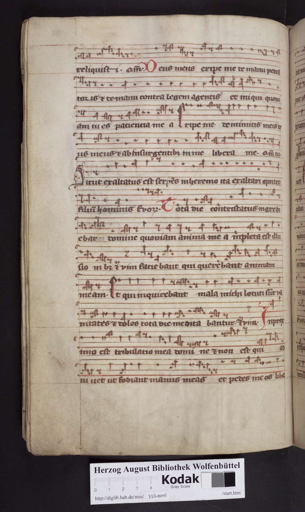 http://diglib.hab.de/mss/310-novi/00156.jpg