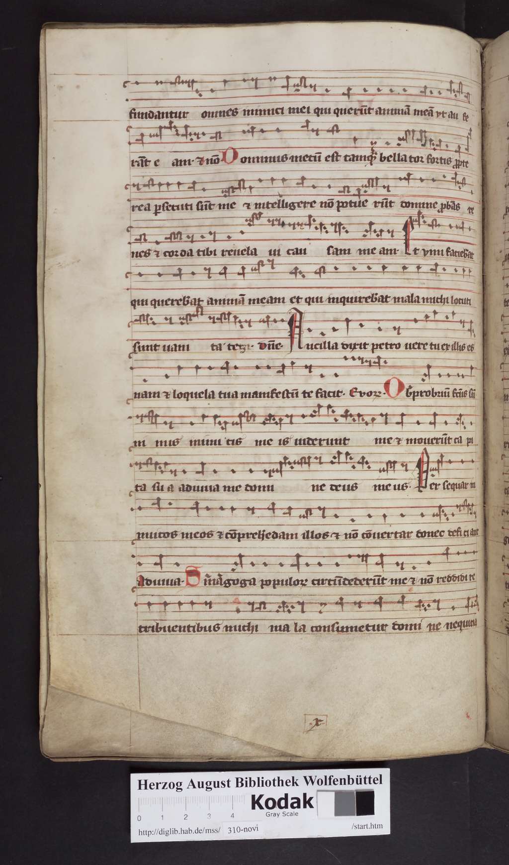 http://diglib.hab.de/mss/310-novi/00164.jpg