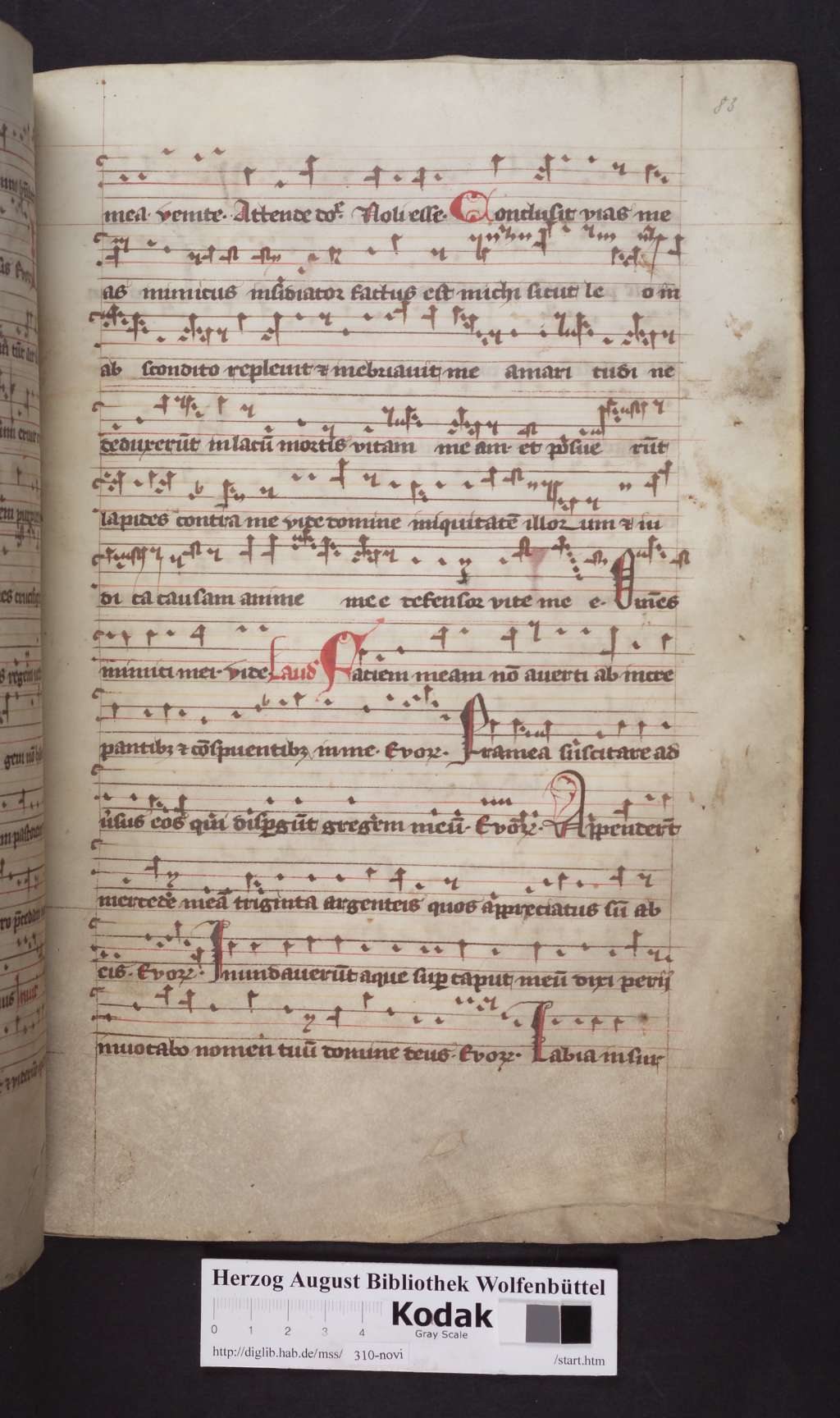 http://diglib.hab.de/mss/310-novi/00167.jpg