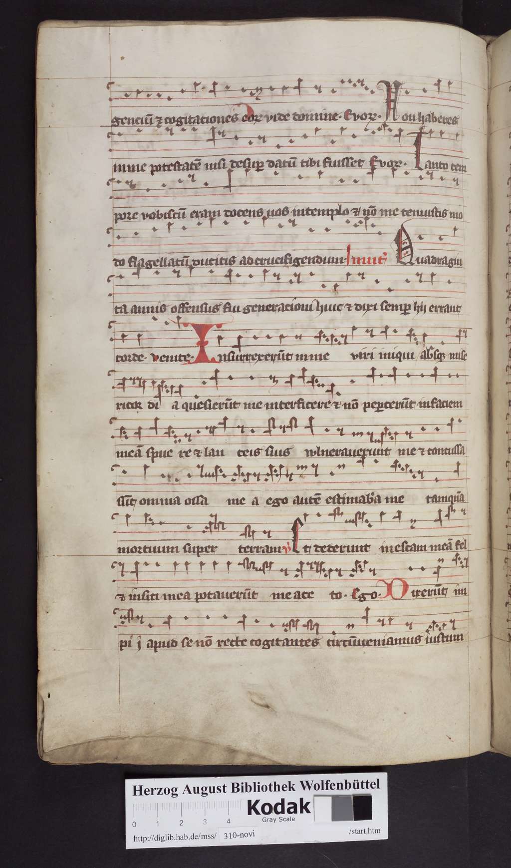 http://diglib.hab.de/mss/310-novi/00168.jpg
