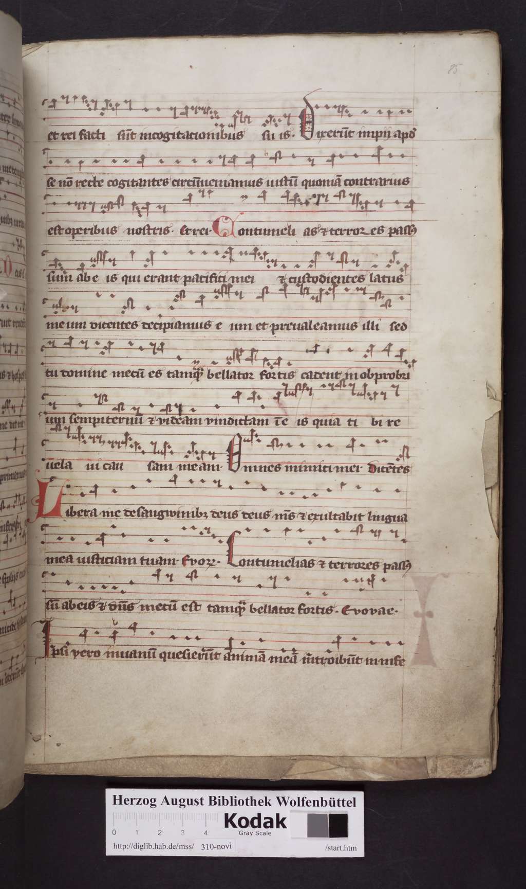 http://diglib.hab.de/mss/310-novi/00171.jpg