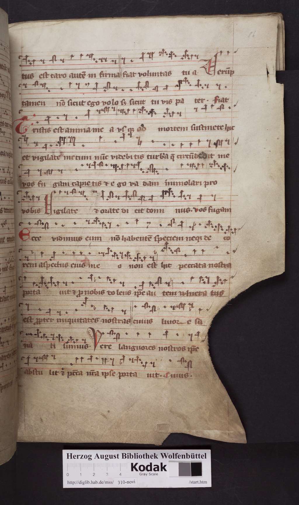 http://diglib.hab.de/mss/310-novi/00173.jpg