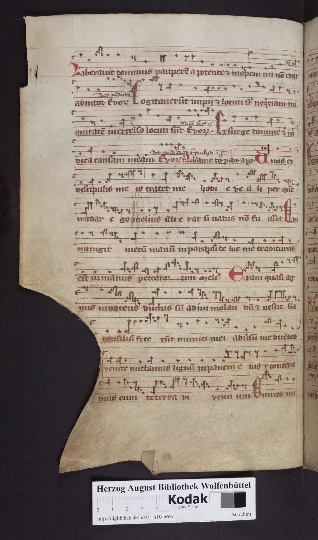 http://diglib.hab.de/mss/310-novi/00174.jpg