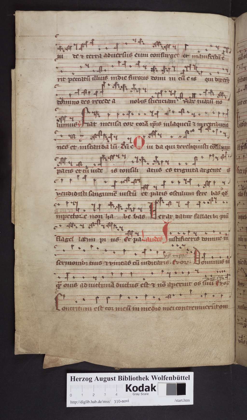 http://diglib.hab.de/mss/310-novi/00176.jpg
