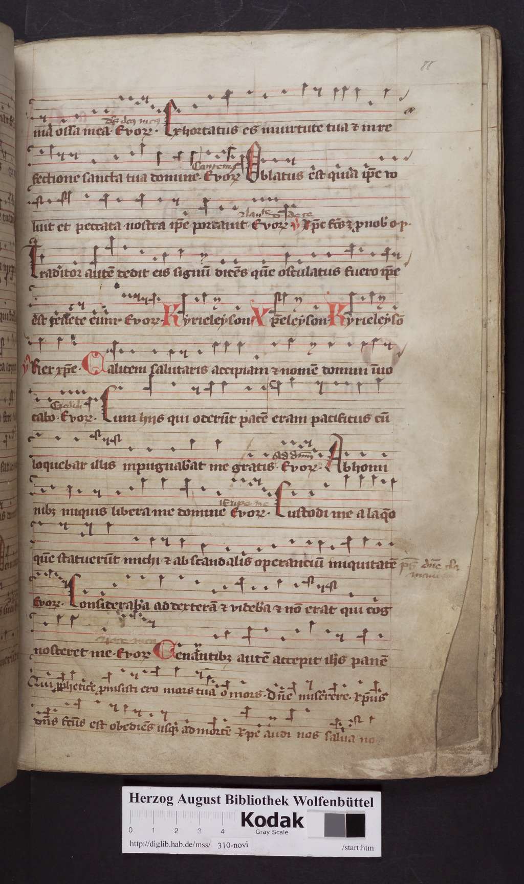 http://diglib.hab.de/mss/310-novi/00177.jpg